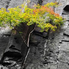 Estar sozinha(o) e estar bem, é possível!